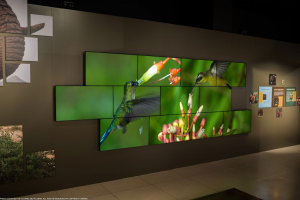 MÀN HÌNH GHÉP LG 55 INCH MỐI GHÉP 1.8MM, CƯỜNG ĐỘ SÁNG 500 CD/M